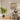 Nemaris lámpara de pie uplight — VEONA Living